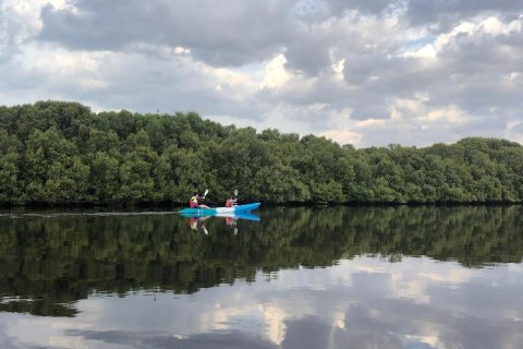 Byt v SEASIDE HILLS v Al Zorah, Ajman, SAE 1 ložnice, 81 m² Č.: 705350 - fotografie 25