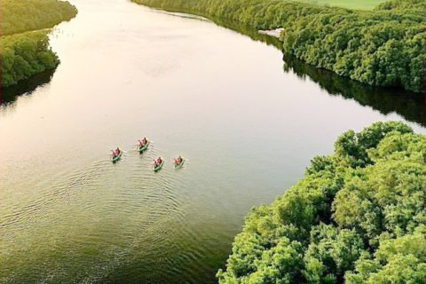 Apartament de vânzare în Al Zorah, Ajman, EAU 1 dormitor, 47 mp.  №650620 - poză 24