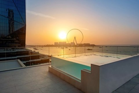 Dubai, संयुक्त अरब अमीरात में होटल अपार्टमेंट, 1 कमरा, 88 वर्ग मीटर, संख्या 705324 - फ़ोटो 18