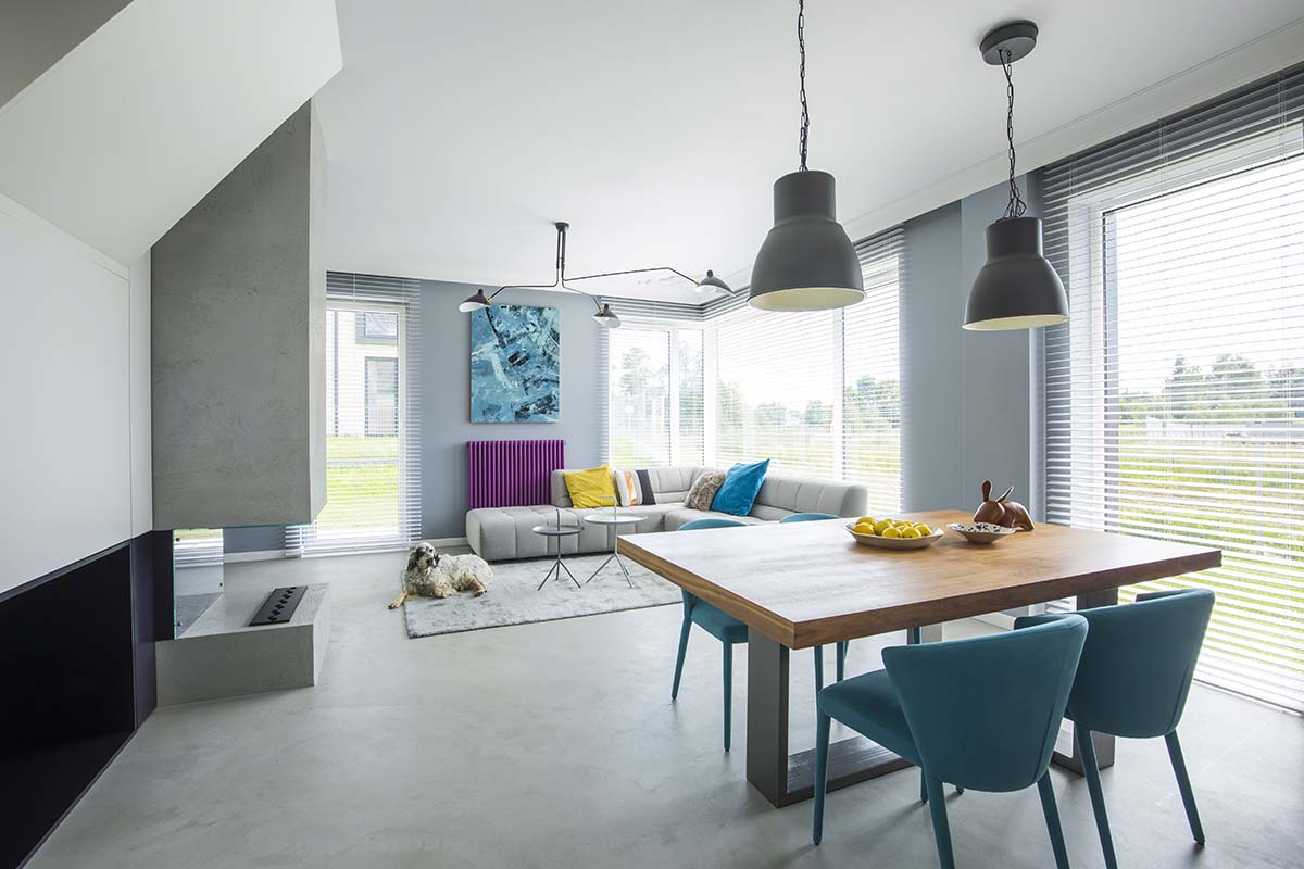 Правила ввоза животных в ОАЭ в 2024 году