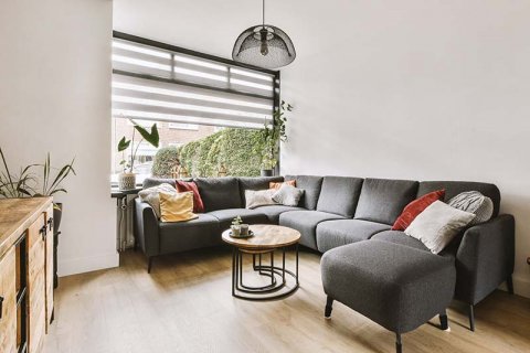 New pet-friendly communities in Dubai and rules for bringing pets into the UAE