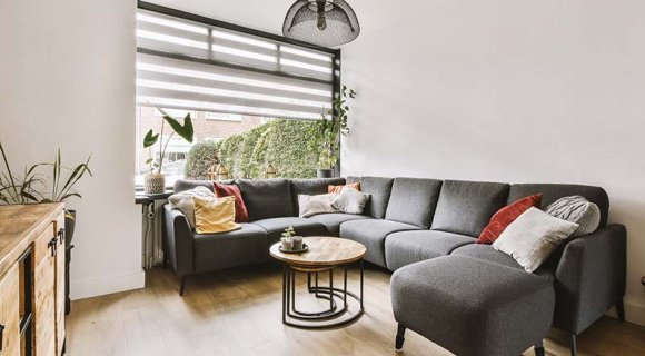 New pet-friendly communities in Dubai and rules for bringing pets into the UAE