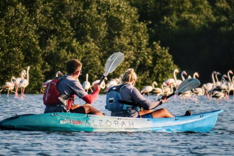 Купити земельна ділянка в Al Zorah, Аджман, ОАЕ 6188м2, № 660946 - фото 12