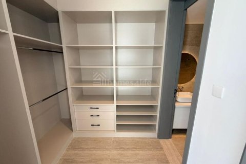 Al Barari, Dubai, BAE’de kiralık villa 4 yatak odası, 459 m&sup2; No 703346 - fotoğraf 15