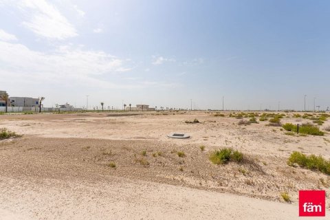 Pozemek v Jebel Ali, Dubai, SAE 987.1 m² Č.: 563010 - fotografie 3