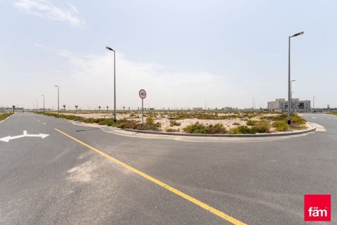 Pozemek v Jebel Ali, Dubai, SAE 987.1 m² Č.: 563010 - fotografie 5