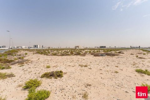 Pozemek v Jebel Ali, Dubai, SAE 987.1 m² Č.: 563010 - fotografie 9
