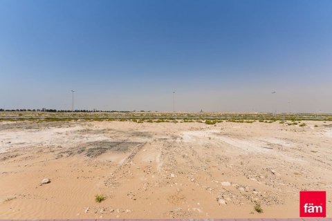 Pozemek v Jebel Ali, Dubai, SAE 987.1 m² Č.: 563010 - fotografie 8