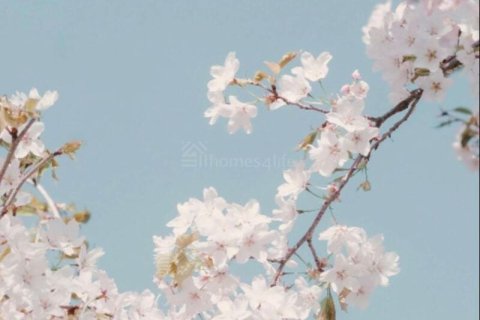 Byt v Falcon City of Wonders, Dubai, SAE 1 ložnice, 76 m² Č.: 694710 - fotografie 10