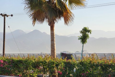 Tokë në Al Mairid, Ras Al Khaimah, Emiratet e Bashkuara Arabe 451 m2. № 656605 - Foto 2