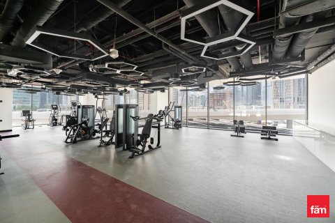 阿联酋 Dubai Business Bay 待租 : 1 卧, 59.6 平方米 , 编号646987 - 照片 21
