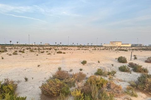 Föld itt: Jebel Ali, Dubai, EAE, 900 m², azonosító: 697331 - fénykép 2