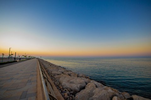 Tanah di Al Mairid, Ras Al Khaimah, UEA 851 m2 nomor 656817 - foto 13