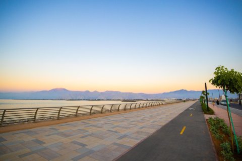 Tanah di Al Mairid, Ras Al Khaimah, UEA 851 m2 nomor 656817 - foto 18