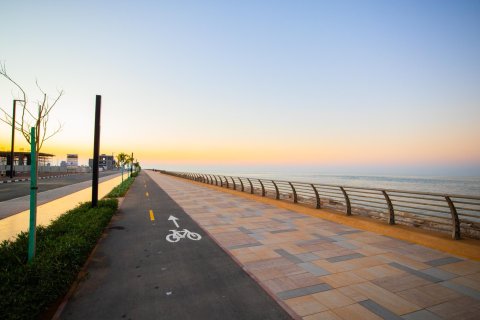 Tanah di Al Mairid, Ras Al Khaimah, UEA 851 m2 nomor 656817 - foto 20