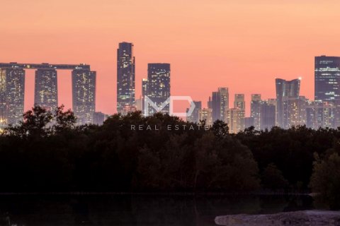 阿联酋 Abu Dhabi 待租 : 3 卧, 270 平方米 , 编号555183 - 照片 80