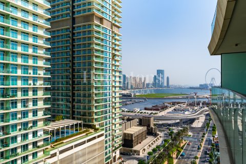 Dubai Harbour, Dubai, संयुक्त अरब अमीरात में अपार्टमेंट, 2 बेडरूम, 108.76 वर्ग मीटर, संख्या 651644 - फ़ोटो 10