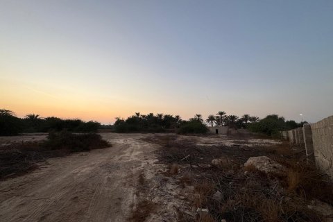 Shamal Julphar, Ras Al Khaimah, BAE’de satılık земля 7827 m&sup2; No 656689 - fotoğraf 5