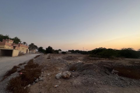 Shamal Julphar, Ras Al Khaimah, BAE’de satılık земля 7827 m&sup2; No 656689 - fotoğraf 7
