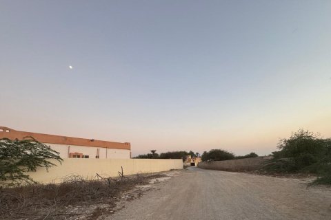 Shamal Julphar, Ras Al Khaimah, BAE’de satılık земля 7827 m&sup2; No 656689 - fotoğraf 9