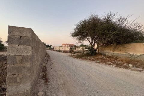 Shamal Julphar, Ras Al Khaimah, BAE’de satılık земля 7827 m&sup2; No 656689 - fotoğraf 8