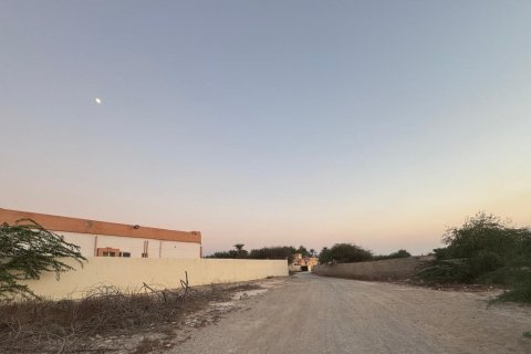 Shamal Julphar, Ras Al Khaimah, BAE’de satılık земля 7827 m&sup2; No 656689 - fotoğraf 3