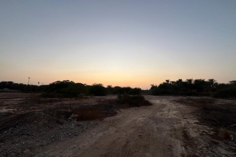 Shamal Julphar, Ras Al Khaimah, BAE’de satılık земля 7827 m&sup2; No 656689 - fotoğraf 6