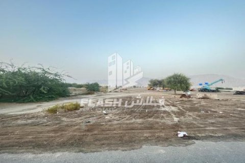 Tomt til salgs i Shamal Julphar, Ras Al Khaimah, Emiratene 10684 kvm Nr. 656875 - Foto 10