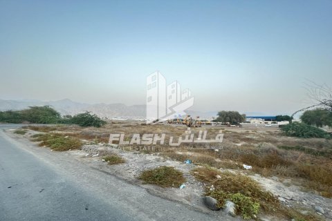 Tomt til salgs i Shamal Julphar, Ras Al Khaimah, Emiratene 10684 kvm Nr. 656875 - Foto 13