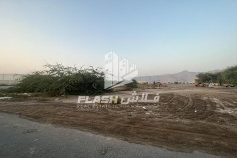 Tomt til salgs i Shamal Julphar, Ras Al Khaimah, Emiratene 10684 kvm Nr. 656875 - Foto 6