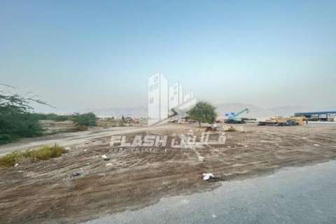Tomt til salgs i Shamal Julphar, Ras Al Khaimah, Emiratene 10684 kvm Nr. 656875 - Foto 7