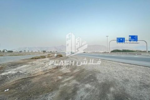 Tomt til salgs i Shamal Julphar, Ras Al Khaimah, Emiratene 10684 kvm Nr. 656875 - Foto 14