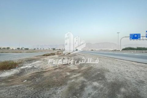Tomt til salgs i Shamal Julphar, Ras Al Khaimah, Emiratene 10684 kvm Nr. 656875 - Foto 15