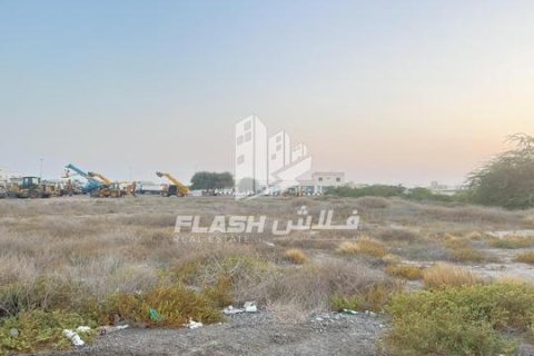 Tomt til salgs i Shamal Julphar, Ras Al Khaimah, Emiratene 10684 kvm Nr. 656875 - Foto 12