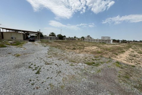 Gård til salgs i Ras Al Khaimah, Emiratene 15608 kvm Nr. 656874 - Foto 7