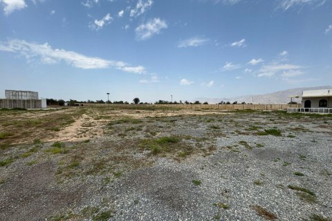 Gård til salgs i Ras Al Khaimah, Emiratene 15608 kvm Nr. 656874 - Foto 4