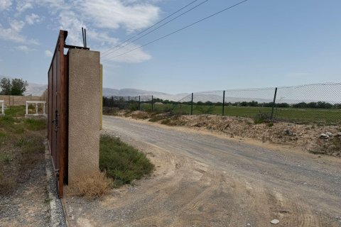 Gård til salgs i Ras Al Khaimah, Emiratene 15608 kvm Nr. 656874 - Foto 11