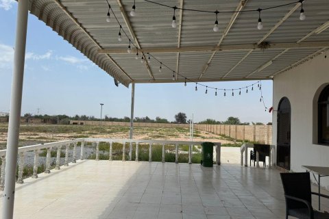 Gård til salgs i Ras Al Khaimah, Emiratene 15608 kvm Nr. 656874 - Foto 5