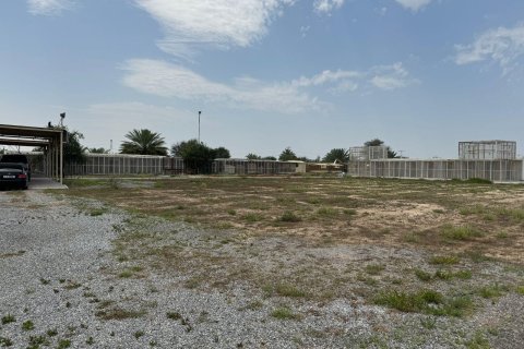 Gård til salgs i Ras Al Khaimah, Emiratene 15608 kvm Nr. 656874 - Foto 3