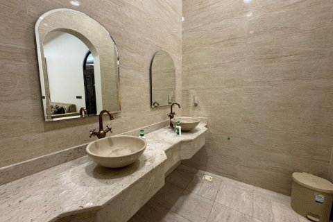 Gård til salgs i Ras Al Khaimah, Emiratene 15608 kvm Nr. 656874 - Foto 10