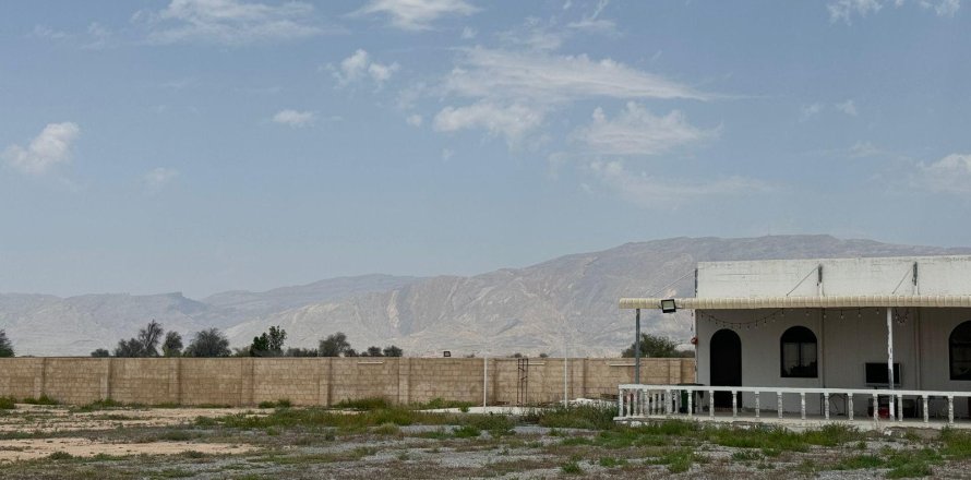 Gård i Ras Al Khaimah, Emiratene 15608 kvm nr. 656874