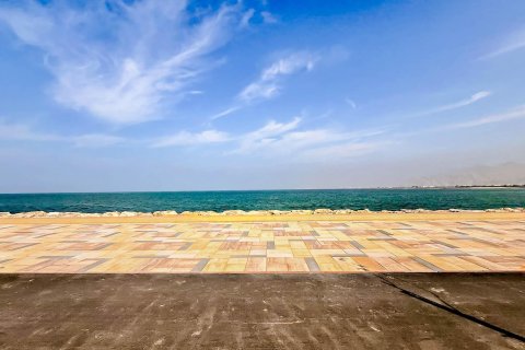 Tanah di Al Mairid, Ras Al Khaimah, UEA 450 m2 nomor 656873 - foto 6