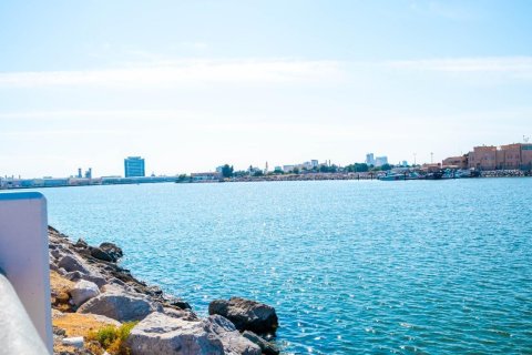 Tanah di Al Mairid, Ras Al Khaimah, UEA 450 m2 nomor 656873 - foto 5