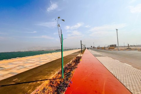 Tanah di Al Mairid, Ras Al Khaimah, UEA 450 m2 nomor 656873 - foto 1