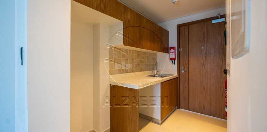 Al Reem Island, Abu Dhabi, संयुक्त अरब अमीरात में अपार्टमेंट, 1 कमरा, 39 वर्ग मीटर, संख्या 729530