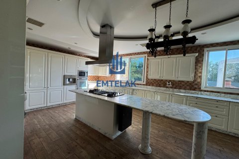 Vila v Dubai Land, SAE 4 ložnice Č.: 587652 - fotografie 7