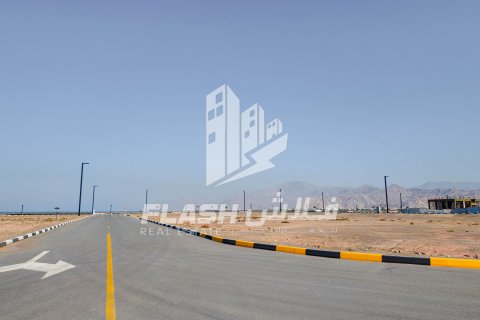 Pozemek v Al Mairid, Ras Al Khaimah, SAE 1800 m² Č.: 611683 - fotografie 14