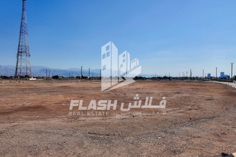Pozemek v Al Mairid, Ras Al Khaimah, SAE 1800 m² Č.: 611683 - fotografie 7