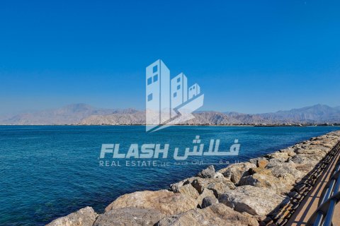 Pozemek v Al Mairid, Ras Al Khaimah, SAE 1800 m² Č.: 611683 - fotografie 12