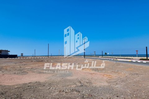 Pozemek v Al Mairid, Ras Al Khaimah, SAE 1800 m² Č.: 611683 - fotografie 4